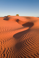 sand dune textures, Sturts Stony Desert