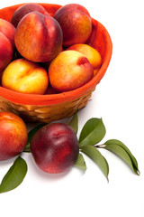 Fresh fruit nectarines in the basket, on white background