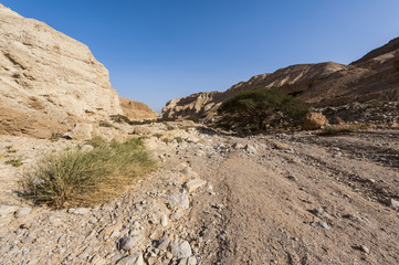 Stone desert in Israel