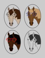 set of funny horses in glasses