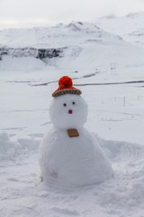 Obraz premium Snowman