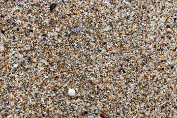 top view of Beach sand for background and texture. Summer background concept.
