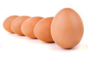 eggs on white background