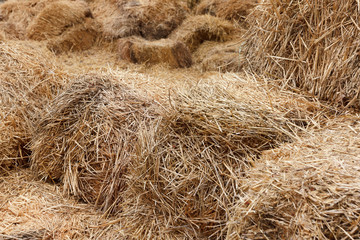 Bricks of fresh hay