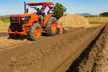 Obraz premium Tractor plows a field in the spring accompanied by Tractor