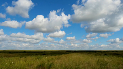 Green field summer landscape, timelapse. Clouds and blue sky field