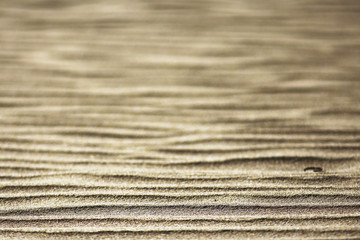 texture desert land sand dunes barkhans, deserts