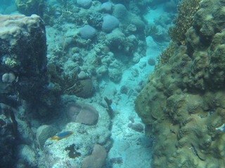 fond sous marin