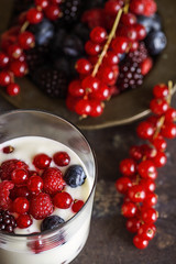 Yogurt with berries, cranberries and raspberries