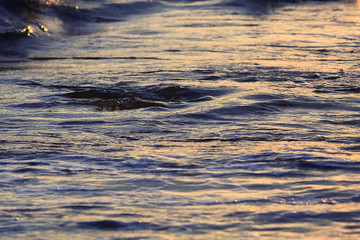 Texture of the waves at sunset