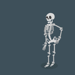 skeleton Vector flat