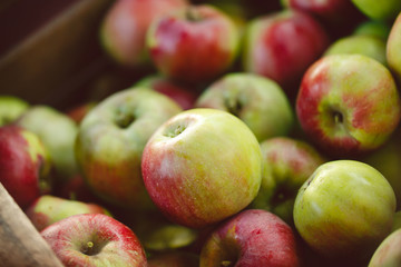 Apples in the basket. A natural fresh apples  in the basket , an ecological product. Harvest from apples in the basket, close up. Food background of apples