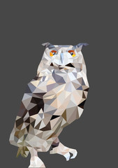 Abstract of Owl low poly vector with dark background