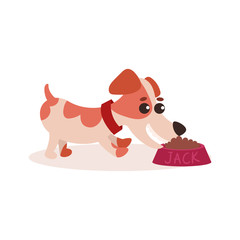 Jack russell terrier character eating dog food out of her dish, cute funny dog vector Illustration