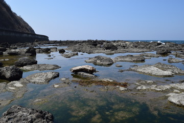 Fototapeta na wymiar 奇岩怪石の磯が続く山形県庄内海岸の岩場