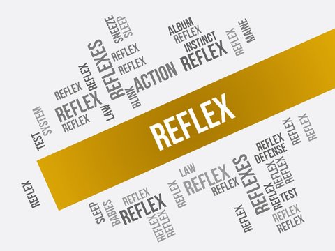 Reflex