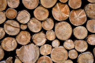 Abstract photo of a mixture of symmetric pile of natural wooden logs with different size background, top view.