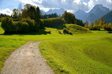 Fototapeta na wymiar Mountain road/path/way surrounded by green trees, grass, grazing land, mountains. Horizontal view from Austrian Alps, Lofer area. October sunny afternoon.