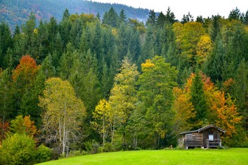 Autumn mountains and forest with isolated small wooden house/cottage. Photo from Lofer area, Austrian Alps
