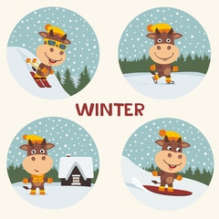 Winter. Collection of little bull on skis, skates, snowboard. Set of funny bull is engaged in winter sports, stands near the house against the background of snowflakes.