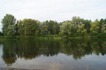 Fototapeta na wymiar reflection of trees on the water 