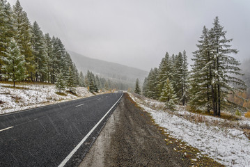 Fototapeta premium road asphalt snowfall forest fall
