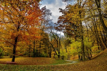 Przemyśl,park. Jesień © Pawel Gruntowicz