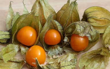 Physalis peruviana
