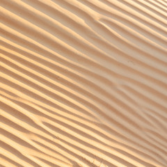 in oman the old desert and the empty quarter abstract  texture line wave