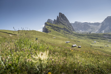 Fototapeta na wymiar alpi in trentino italia