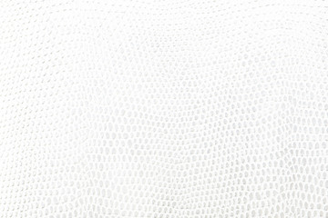 White snake Leather background texture