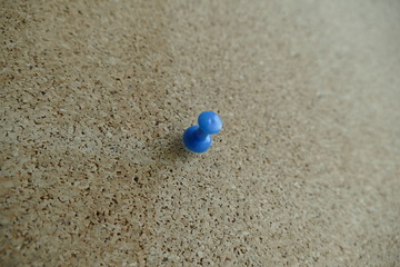 colored pin in an office pinboard