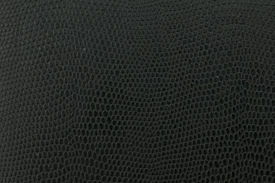 Black snake Leather background texture