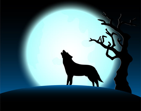 Halloween night with wolf and full moon background