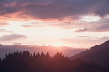 Naklejka na ściany i meble Smoky Mountains ridge at sunrise