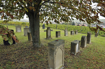 Naklejka premium jüdischer friedhof bei flonheim, rheinhessen