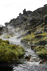 Naklejka na ściany i meble Hot spring with beautiful vegetation in the Icelandic mountains.