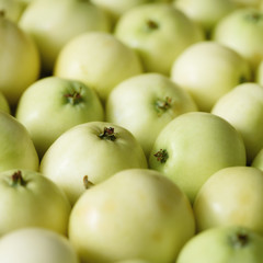 Top view of green apple. Background, concept, copy space, macro. Square