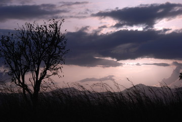atardecer africa