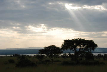 Fototapeta premium rayos de sol