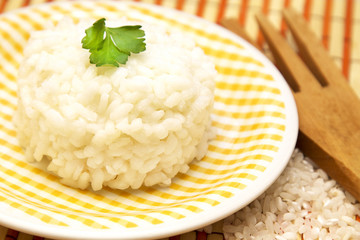 rice dish on the table