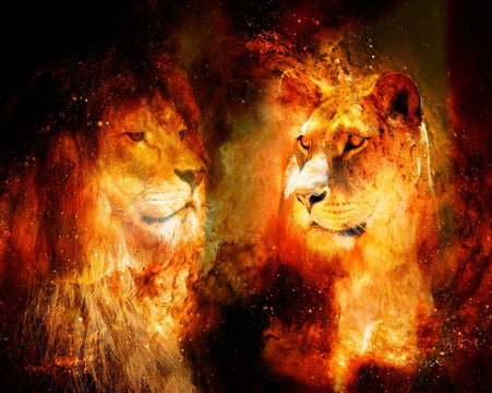lion and lioness in the cosmic space. photos and graphic effect.