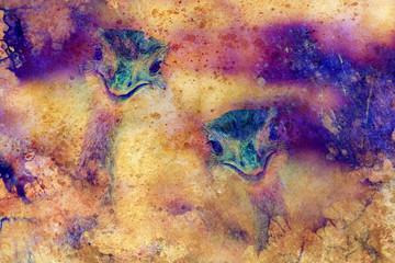 Funny emu ostrich heads on graphic structured background.