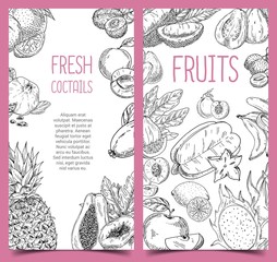 Sketch of vegetarian fruits. Pineapple and plum