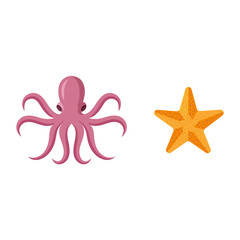 vector flat cartoon nautical, marine animal symbols set. Golden starfish, pink octopus poulpe. Isolated illustration on a white background.