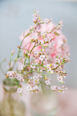 Obraz premium Little flower