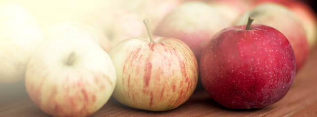 garden apples