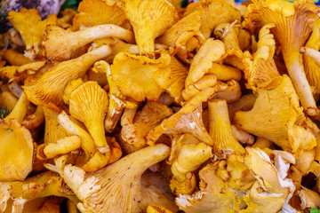 Mushrooms - Organic produce at the Farmers Market