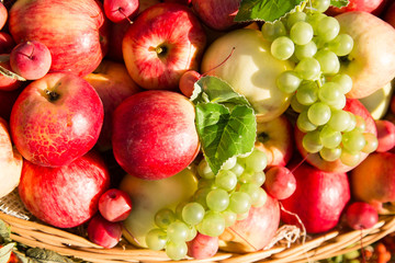 Naklejka na ściany i meble ripe apples with grapes in a basket