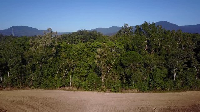 Deforestation. Aerial drone view of rainforest cut down for agriculture